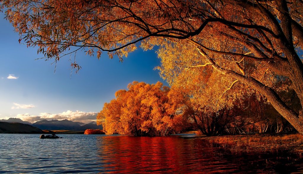 Herfst: beste reistijd Nieuw-Zeeland